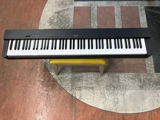 Store Special Product - Yamaha - P225 B