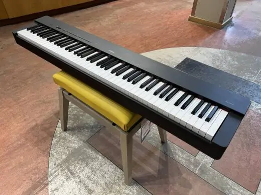 Store Special Product - Yamaha - P225 B