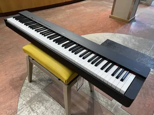 Store Special Product - Yamaha - P225 B