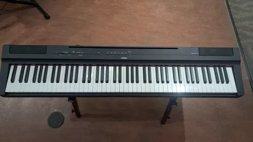 Store Special Product - Yamaha - P125A B