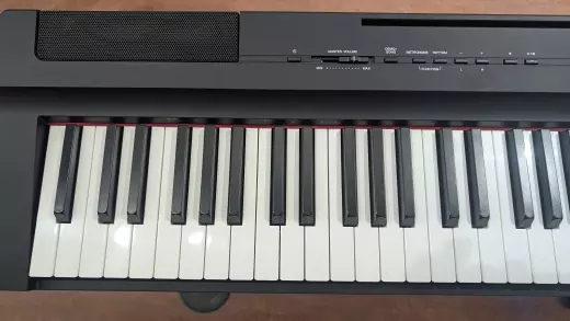 Store Special Product - Yamaha - P125A B