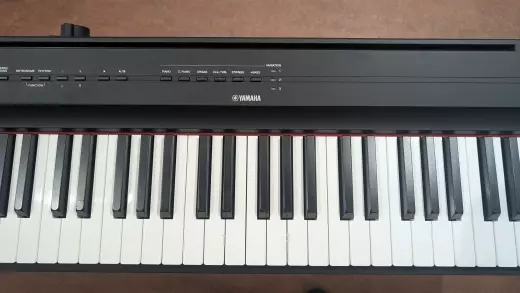 Store Special Product - Yamaha - P125A B