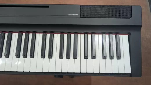 Store Special Product - Yamaha - P125A B