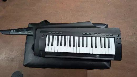 Store Special Product - Korg - RK100S2BK