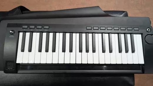 Store Special Product - Korg - RK100S2BK