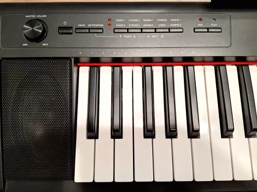 Store Special Product - Yamaha - NP12 B