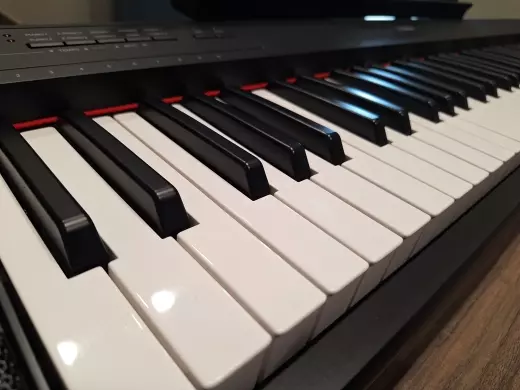 Store Special Product - Yamaha - NP12 B