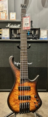 Store Special Product - Ibanez - EHB1505DEF