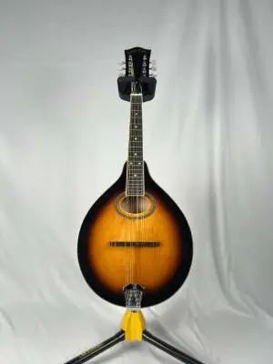 Store Special Product - Gold Tone - GM-50+