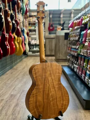 Store Special Product - Taylor Guitars - 114E W V2