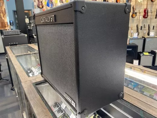Store Special Product - Line 6 - CATALYST60