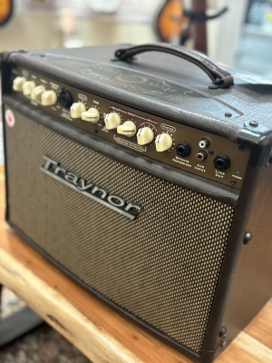 Store Special Product - Traynor - 2-Channel Compact Stereo Acoustic Guitar Amp - 65 Watts