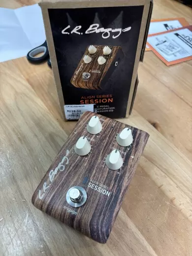 Store Special Product - L.R Baggs - LR-ALIGN-SESS