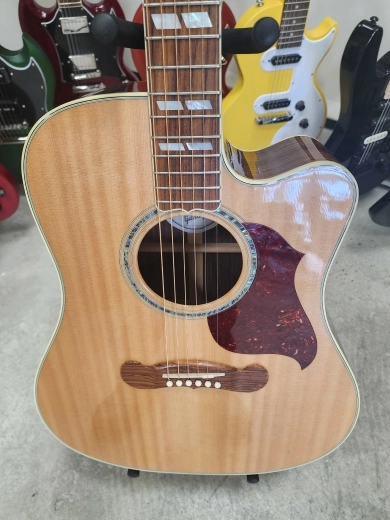 Store Special Product - Gibson - ACSDC19ANGH