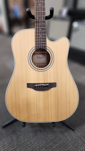 Store Special Product - Takamine - GD20CE-NS