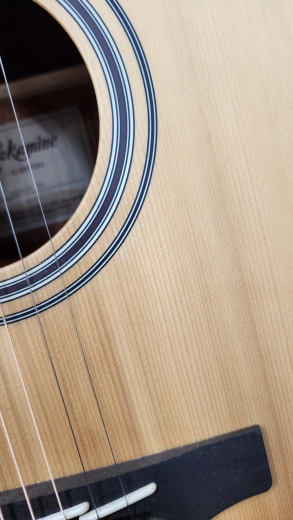Store Special Product - Takamine - GD20CE-NS