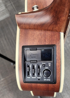 Store Special Product - Takamine - GD20CE-NS