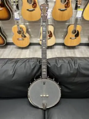 Store Special Product - Deering Banjo Company - D-AAM