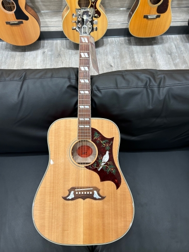 Store Special Product - Gibson - ACODOANNH