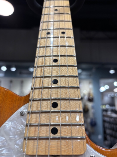 Store Special Product - Fender Custom Shop - 923-5001-176