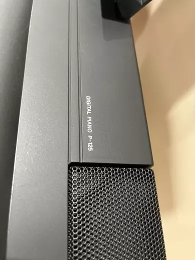 Store Special Product - Yamaha - P125 B