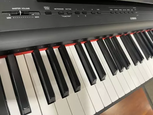 Store Special Product - Yamaha - P125 B
