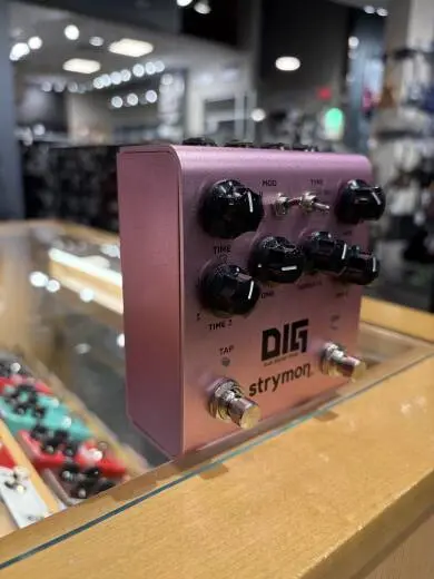 Store Special Product - Strymon - DIG