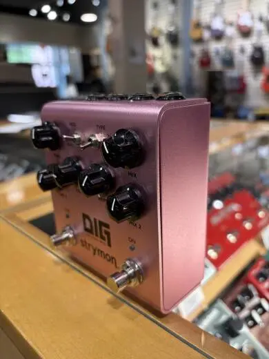 Store Special Product - Strymon - DIG