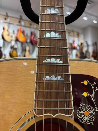 Store Special Product - Gibson - ACO20ANGH