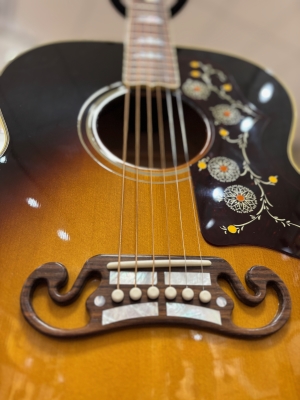 Store Special Product - Gibson - ACO20VSGH