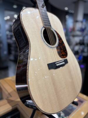 Store Special Product - Larrivee - D-09E