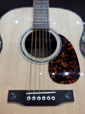 Store Special Product - Larrivee - OM-10
