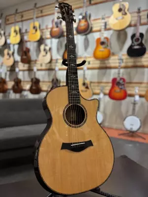 Store Special Product - Taylor Guitars - 914CE VCL