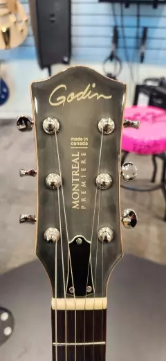 Store Special Product - Godin Guitars - G36622