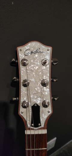 Store Special Product - Godin Guitars - G48465