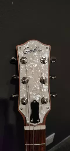 Store Special Product - Godin Guitars - G48465