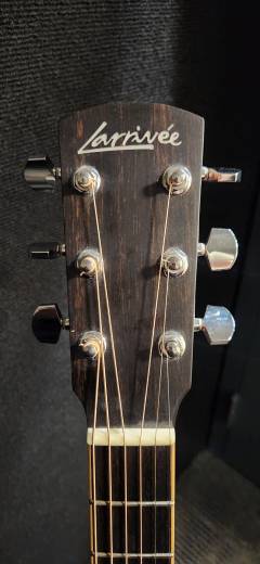 Store Special Product - Larrivee - D-03R