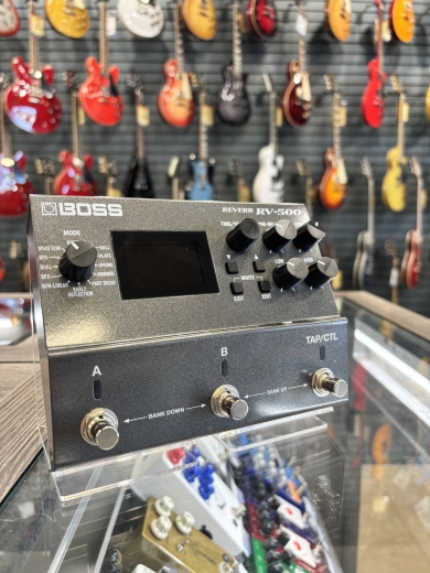 Store Special Product - BOSS - RV-500