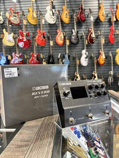Store Special Product - BOSS - RV-500