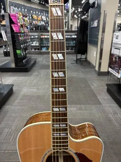 Store Special Product - Gibson - ACSDC19ANGH