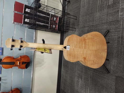 Store Special Product - Taylor Guitars - GS MINI-E MBSV1