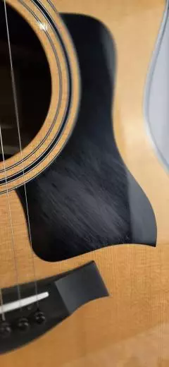 Store Special Product - Taylor Guitars - 314CE VCL