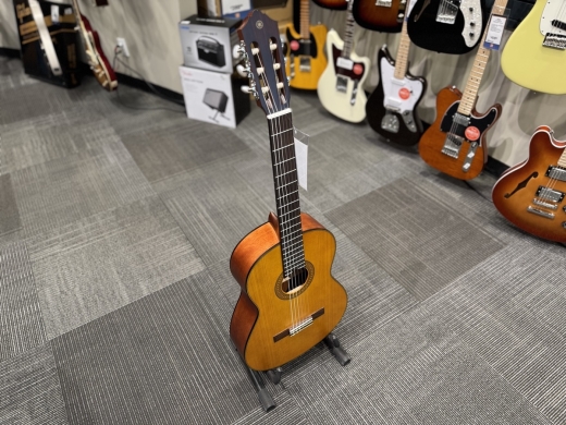 Store Special Product - Yamaha CG122MS Classical Solid Spruce