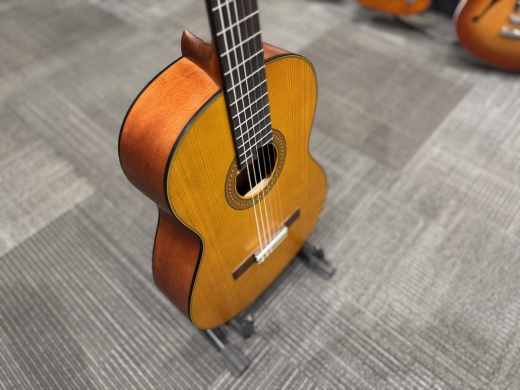 Store Special Product - Yamaha CG122MS Classical Solid Spruce