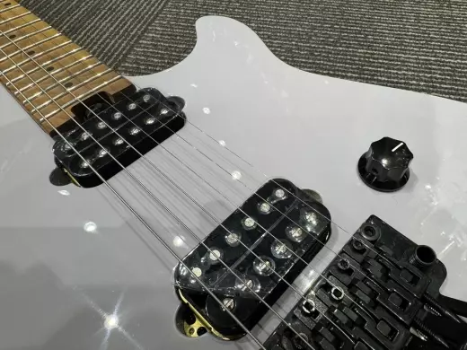 Store Special Product - EVH - 510-7003-560
