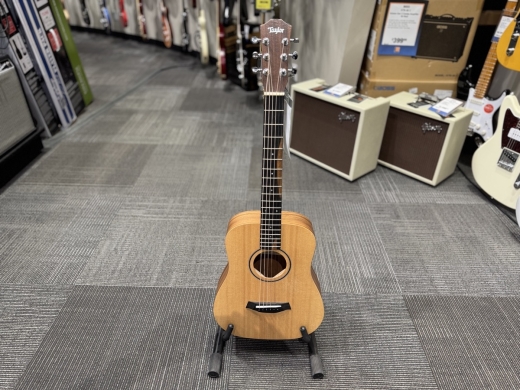 Store Special Product - Taylor Guitars - BT1 WALNUT
