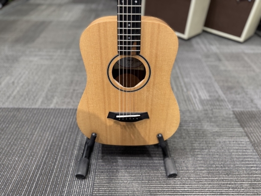 Store Special Product - Taylor Guitars - BT1 WALNUT
