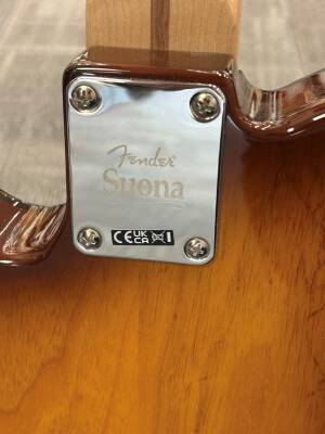 Store Special Product - Fender - 017-0281-830