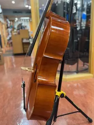 Store Special Product - Eastman Strings - VC100LM 4/4 OF