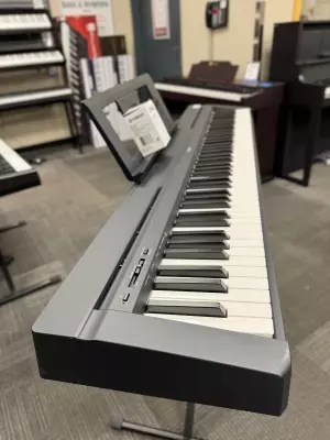 Store Special Product - Yamaha - P45 B